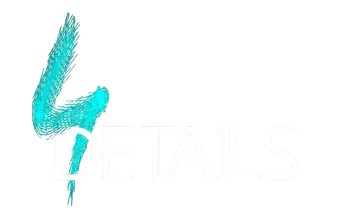 4Details Logo